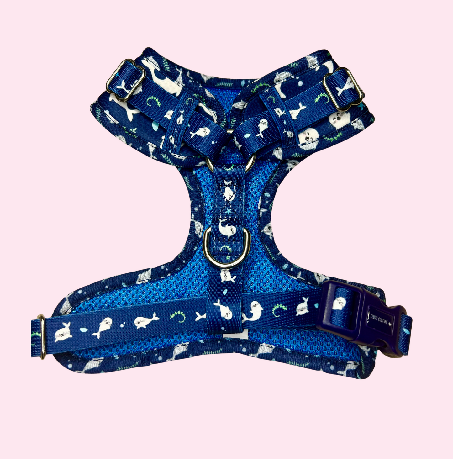 Seal Pups Harness